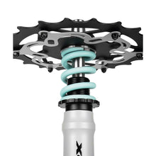 Load image into Gallery viewer, Amotion Pedal RX Shisha
